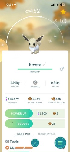 Pokémon shiny eevee - shiny,