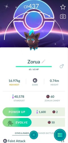 Pokemon shiny zorua - pokemon,