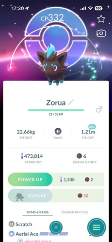 Pokemon ptc xxl shiny - -,