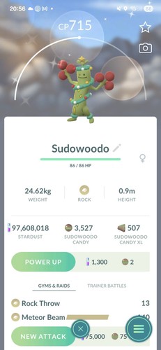 Shiny chrsitmas costume - shiny,