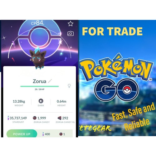 Pokemon shiny zorua - pokemon,