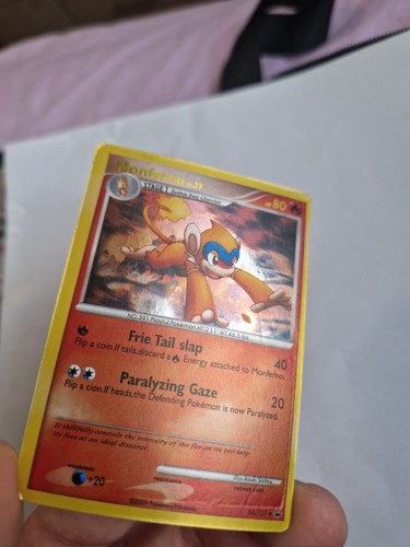 Pokemon monferno shiny - monferno,
