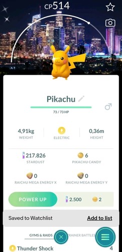 Pokemon shiny pikachu - go,